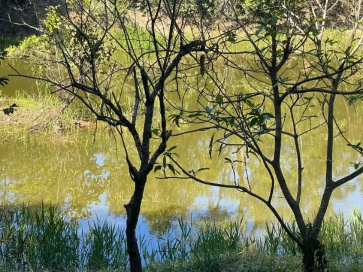 Chácara no Rio piratipinga em Caldas Novas