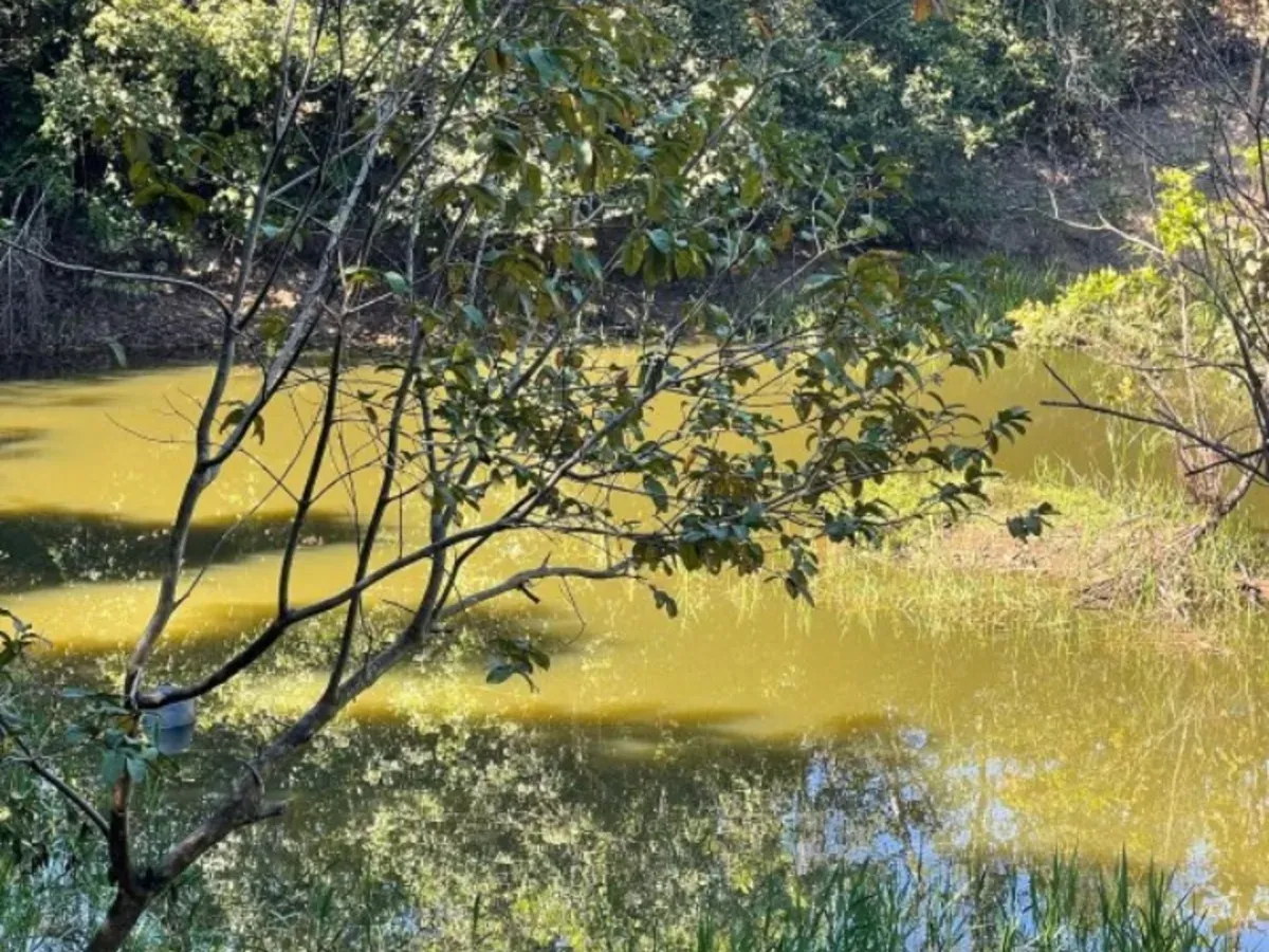 Chácara no Rio piratipinga em Caldas Novas