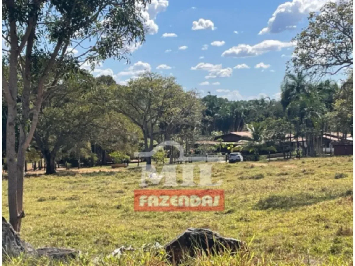 Chácara 6 Alqueires (29,04 hectares) Goiás Velho - GO