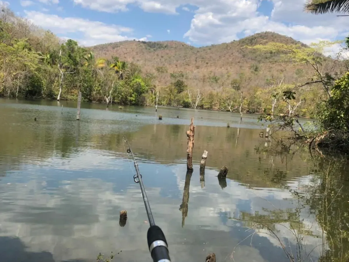 Vendo uma Fazendo com 36 Alqueires / Minaçu - Go