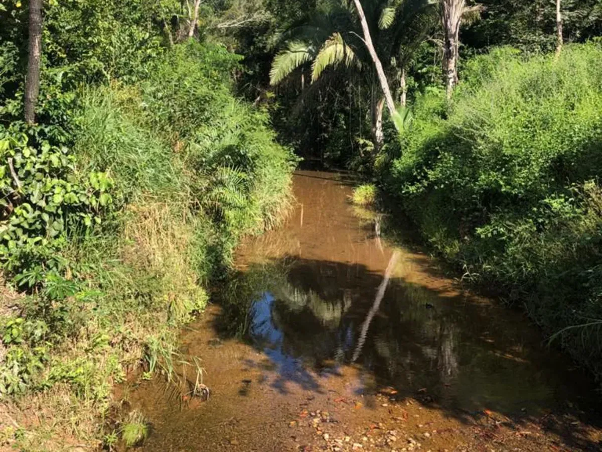 Vendo uma Fazendo com 36 Alqueires / Minaçu - Go
