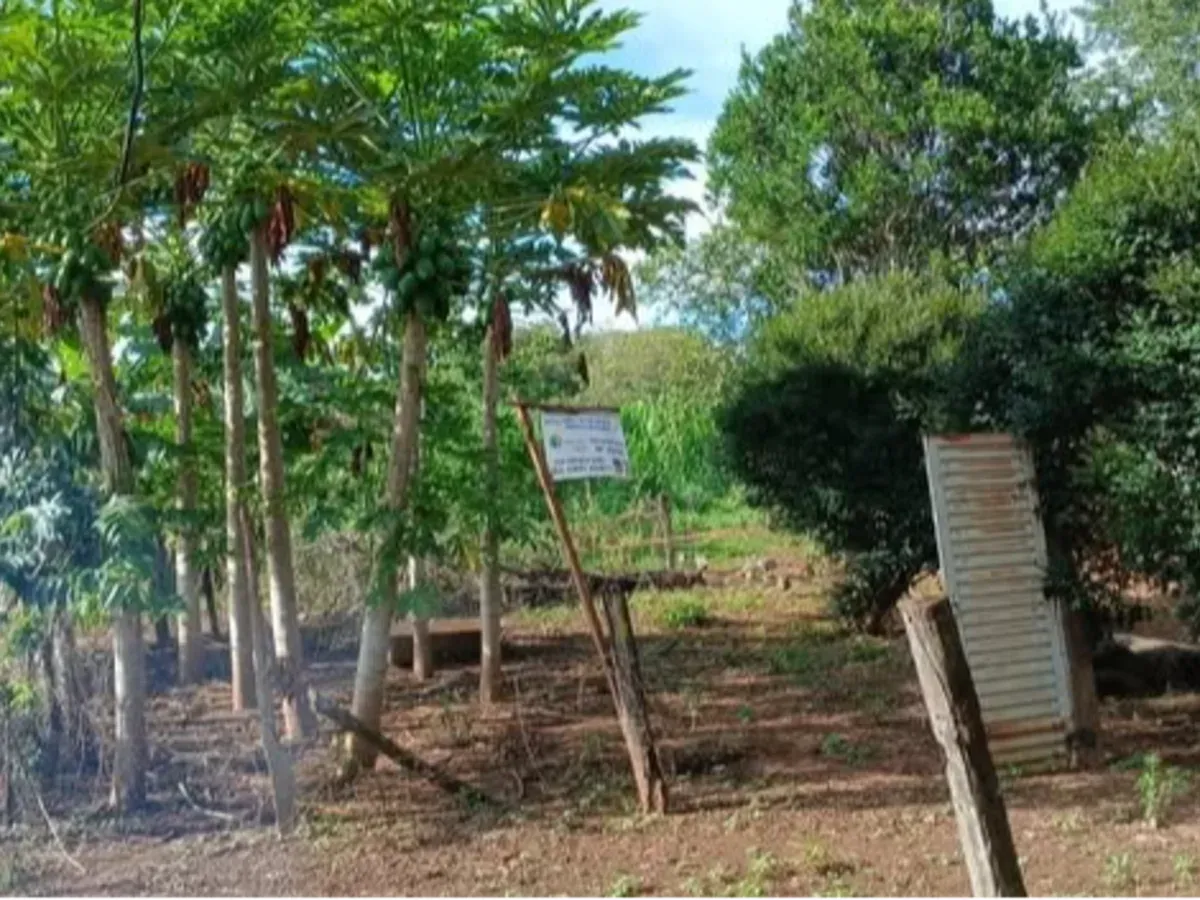 Fazenda São João a venda