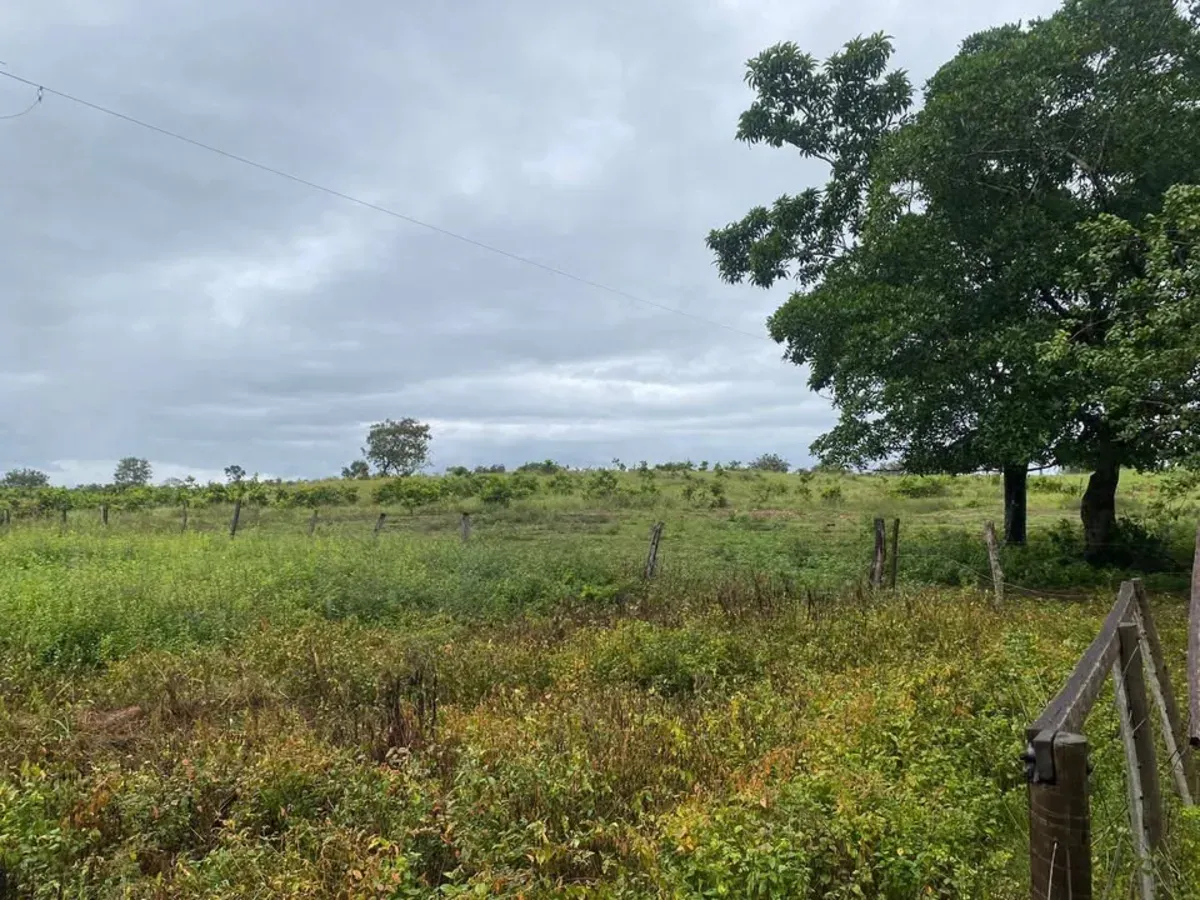CHÁCARA À VENDA – DIVINÓPOLIS/TO
