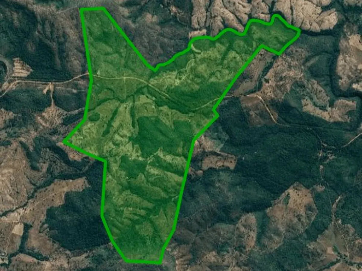 Fazenda