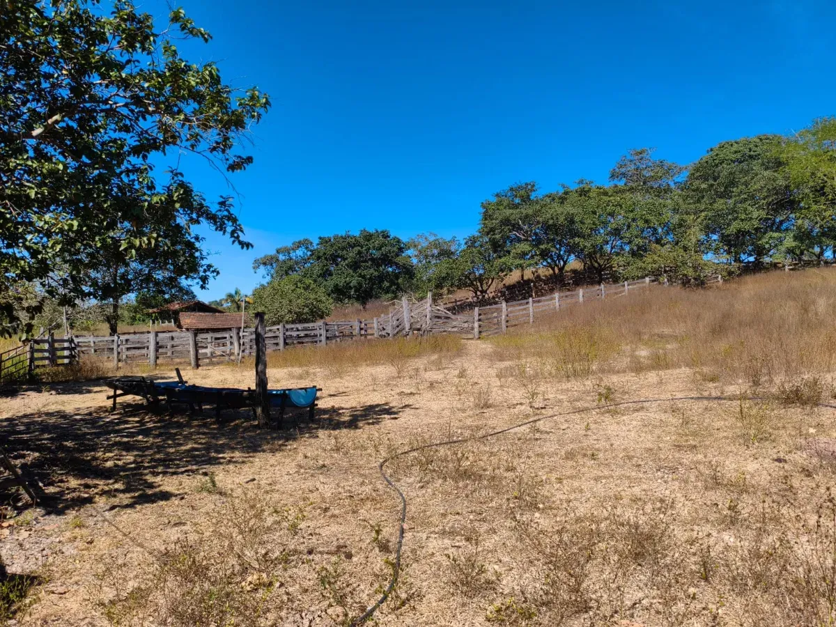 Fazenda
