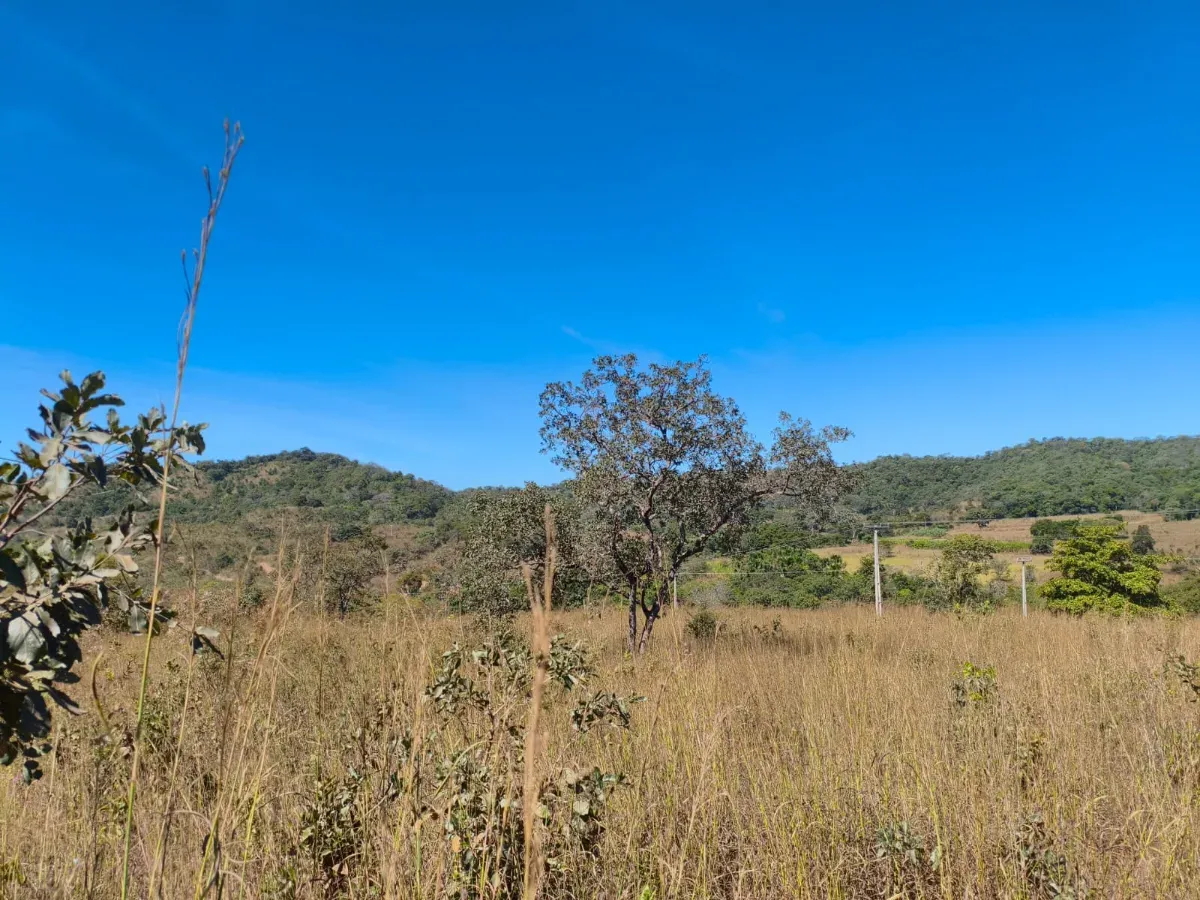 Fazenda