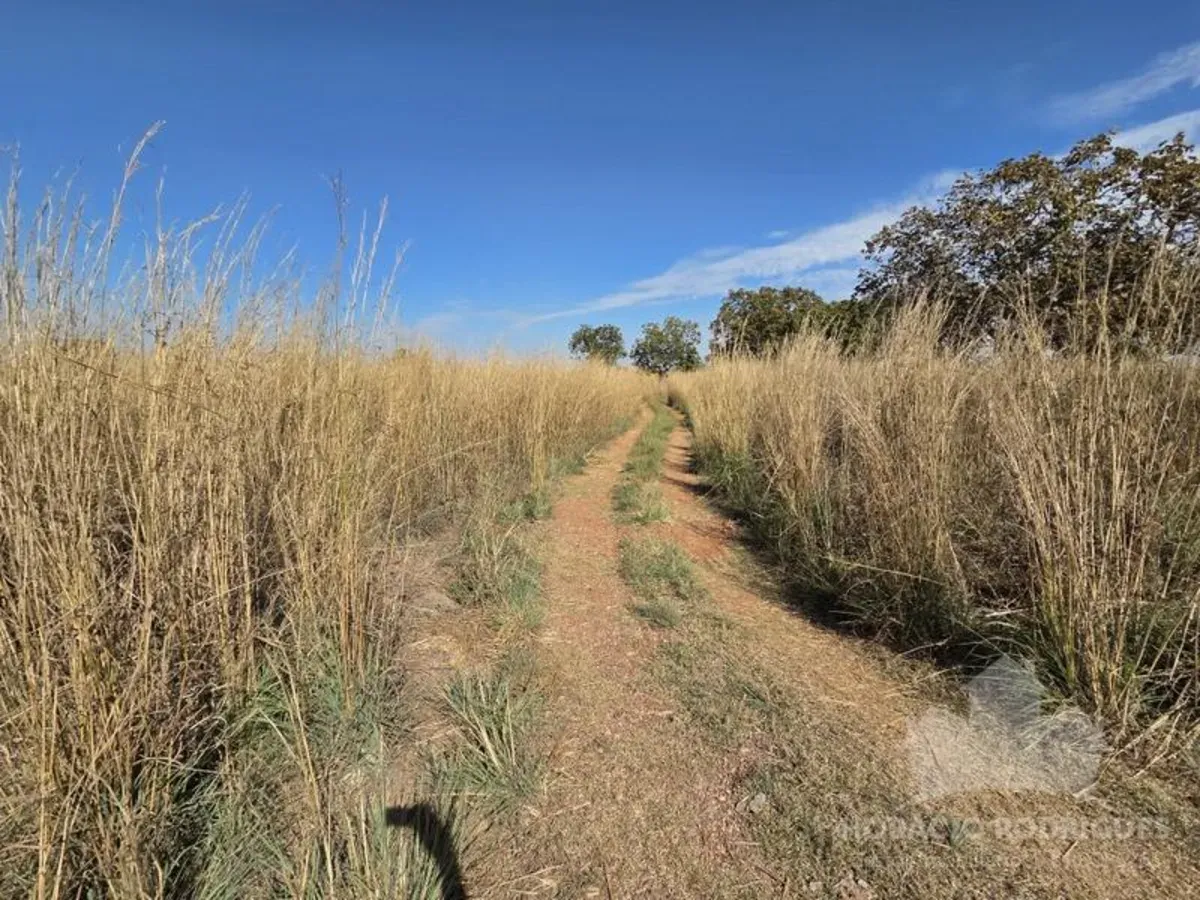 SÍTIO 38 HECTARES – MUNICÍPIO DE VÁRZEA GRANDE MT