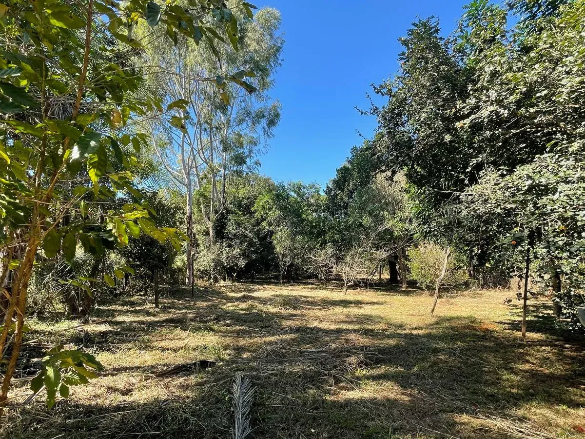Chácara em Caldas Novas/ Saída para Lagoa