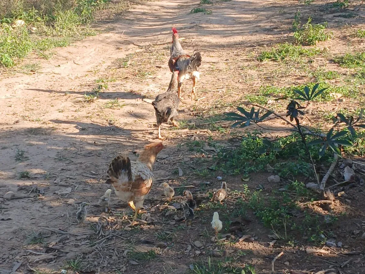 Chácara em Caldas Novas / Setor Reseraville